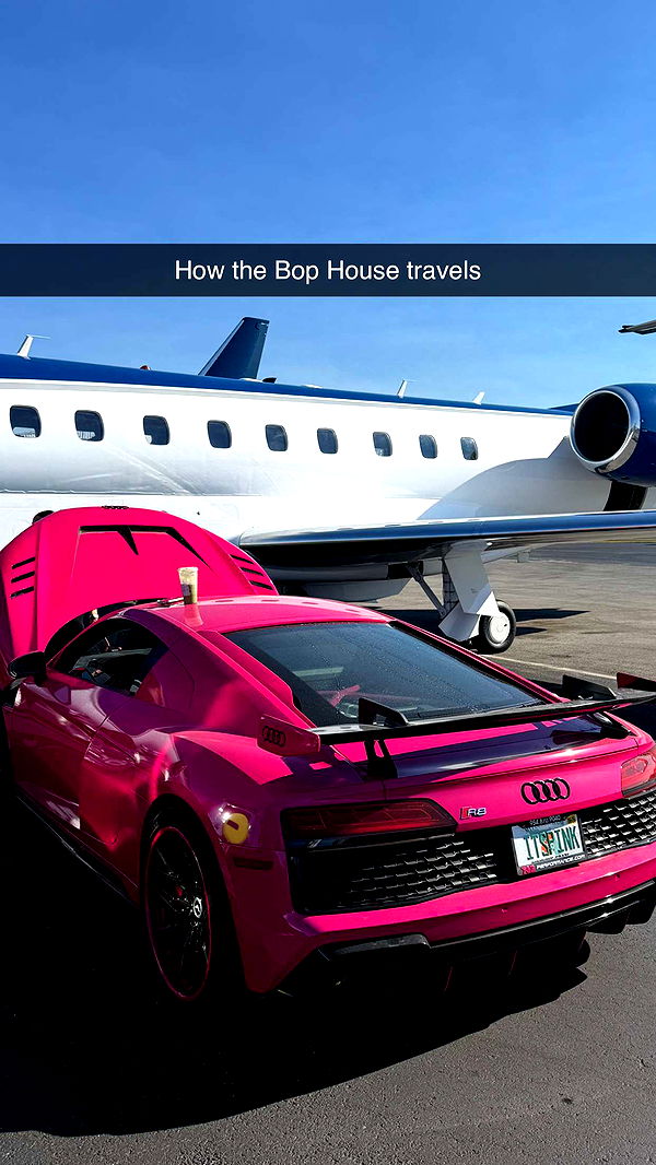 camilla_classy image ~ Altpins