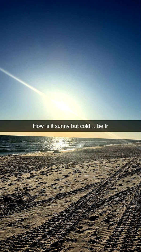 camilla_classy image ~ Altpins