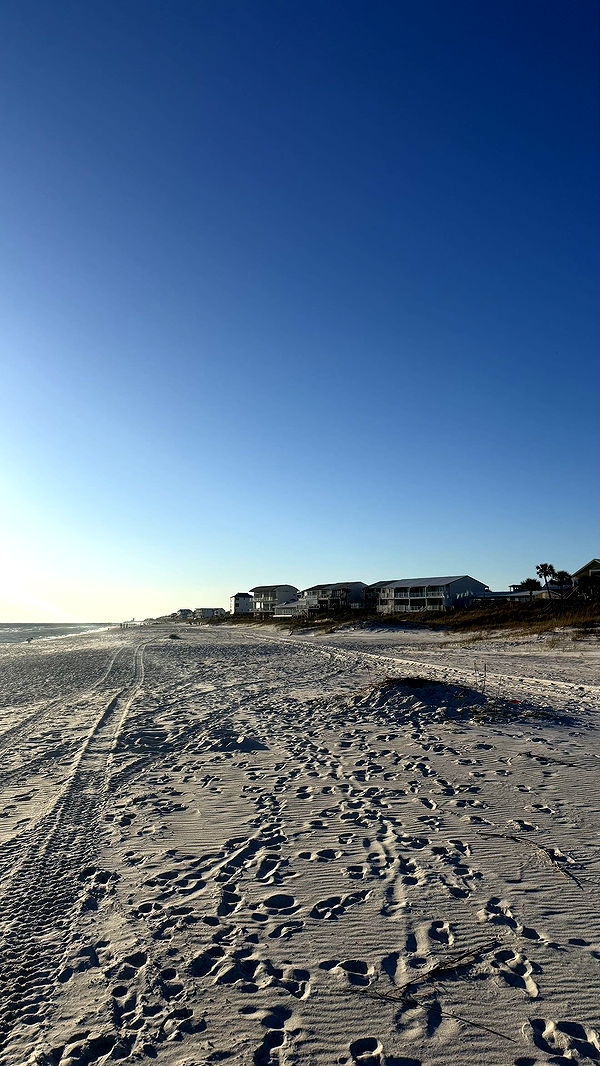 camilla_classy image ~ Altpins