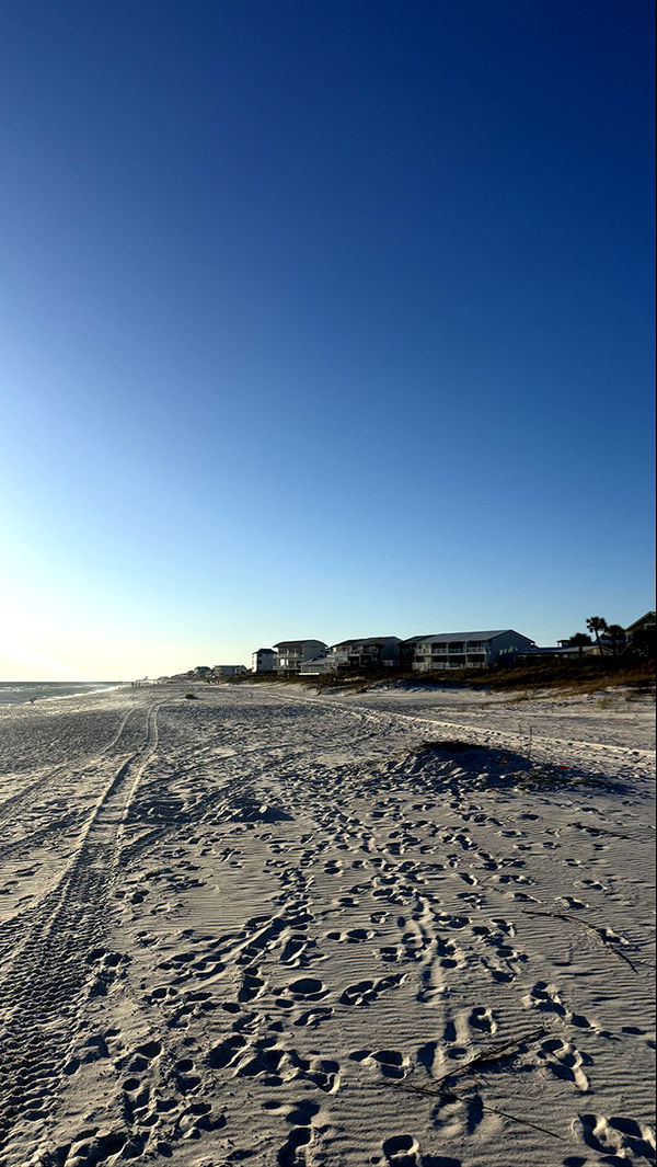 camilla_classy image ~ Altpins