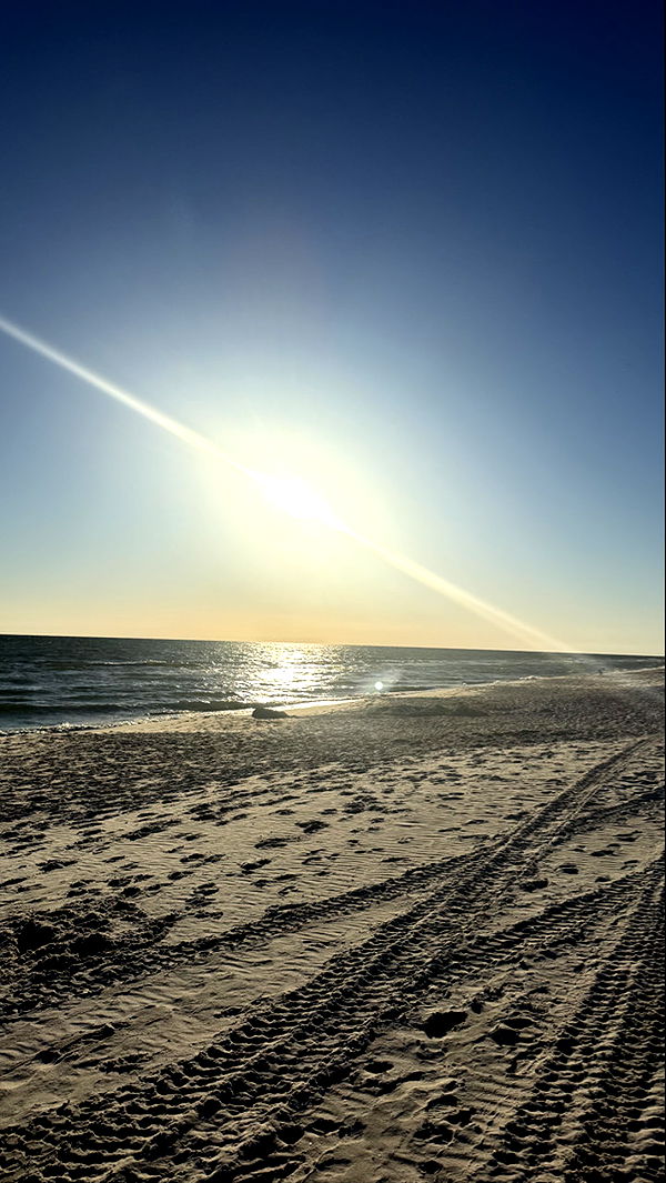 camilla_classy image ~ Altpins