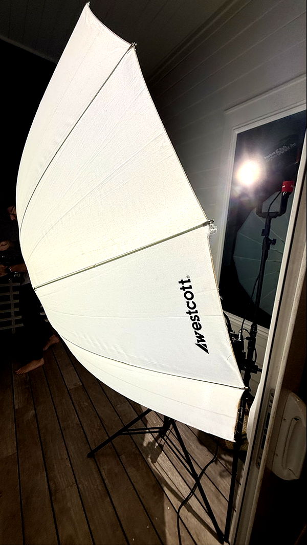 camilla_classy image ~ Altpins