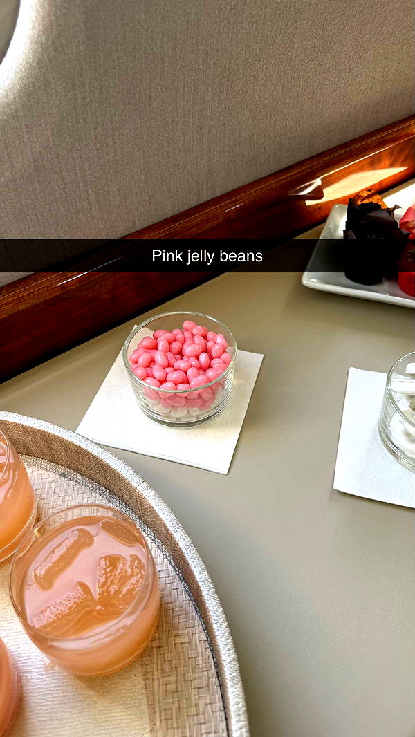 camilla_classy image ~ Altpins