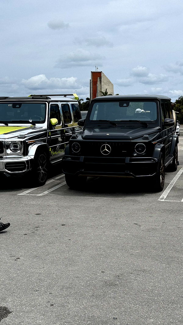 camilla_classy image ~ Altpins