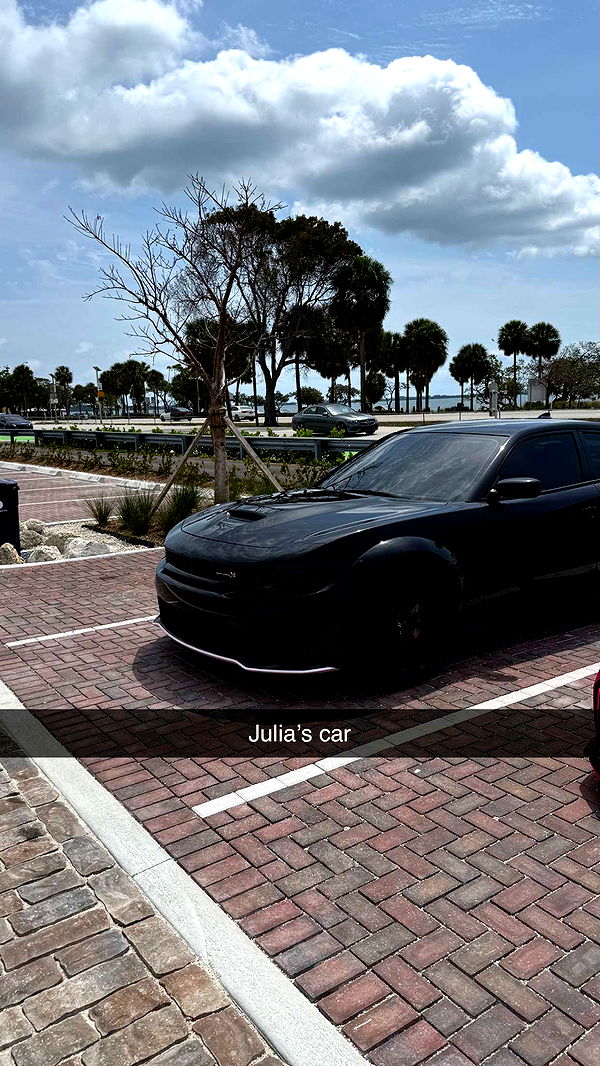 camilla_classy image ~ Altpins