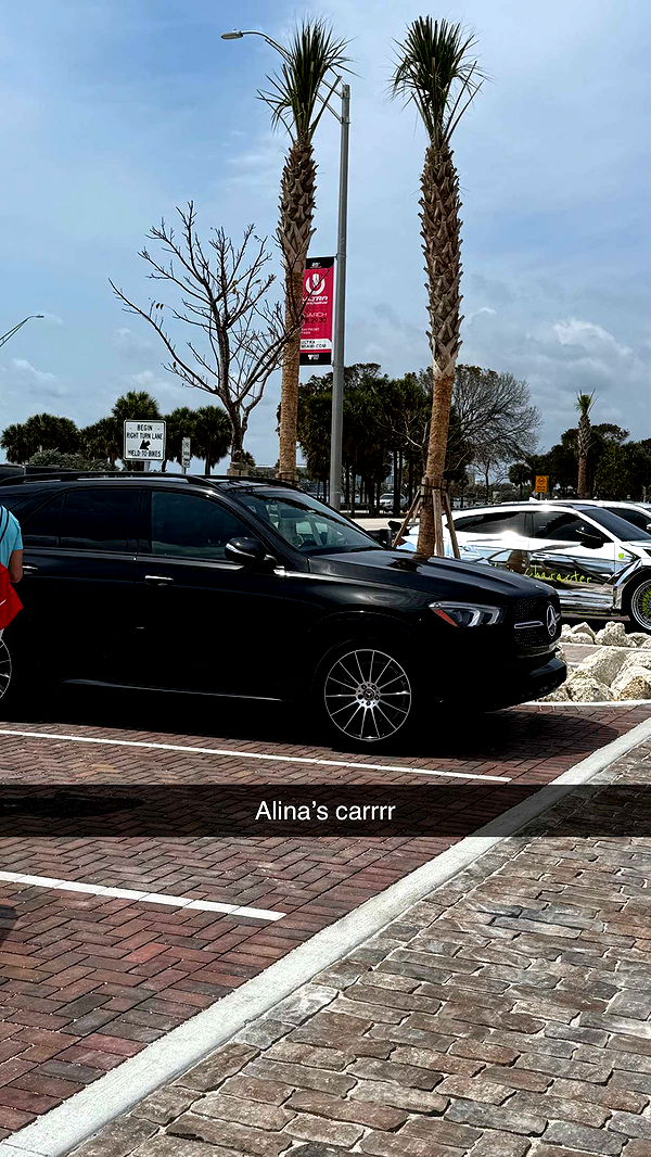 camilla_classy image ~ Altpins