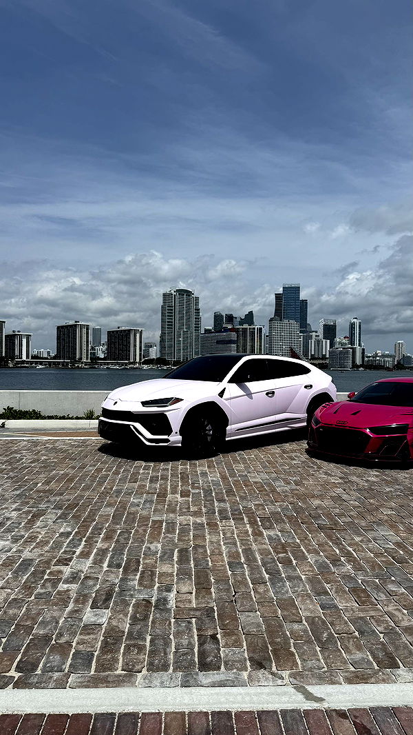 camilla_classy image ~ Altpins