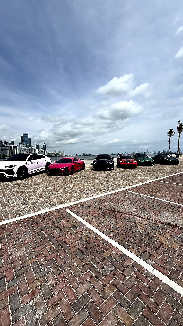 camilla_classy image ~ Altpins