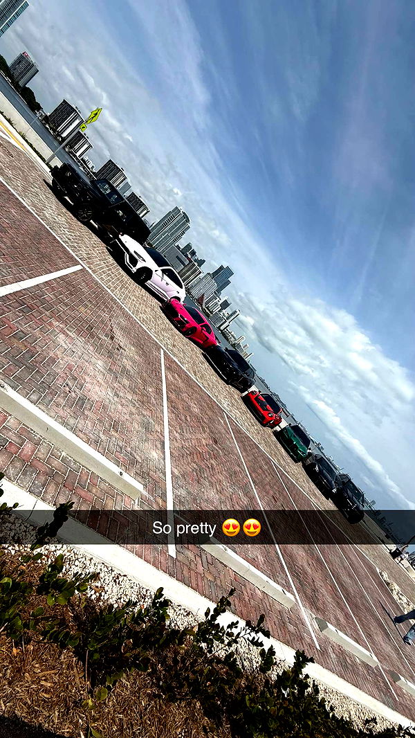 camilla_classy image ~ Altpins