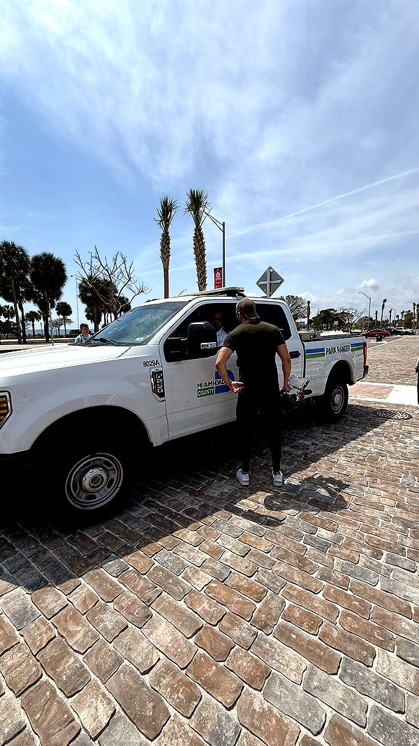 camilla_classy image ~ Altpins