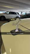 camilla_classy Altpins Profile Picture
