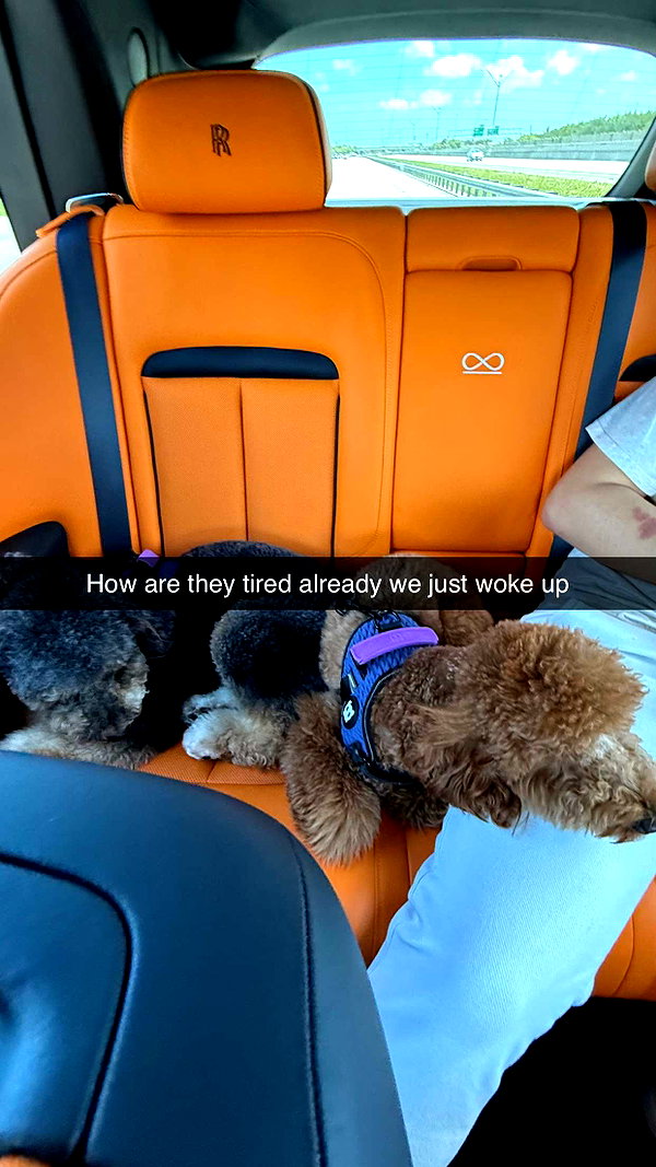 camilla_classy snapchat image archive image