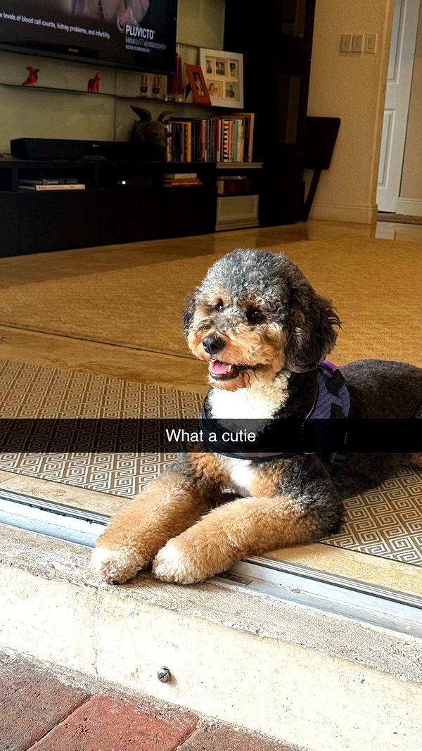camilla_classy snapchat image archive image