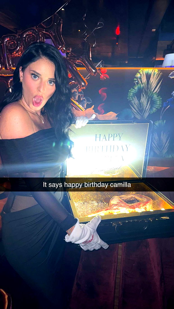 camilla_classy snapchat image archive image