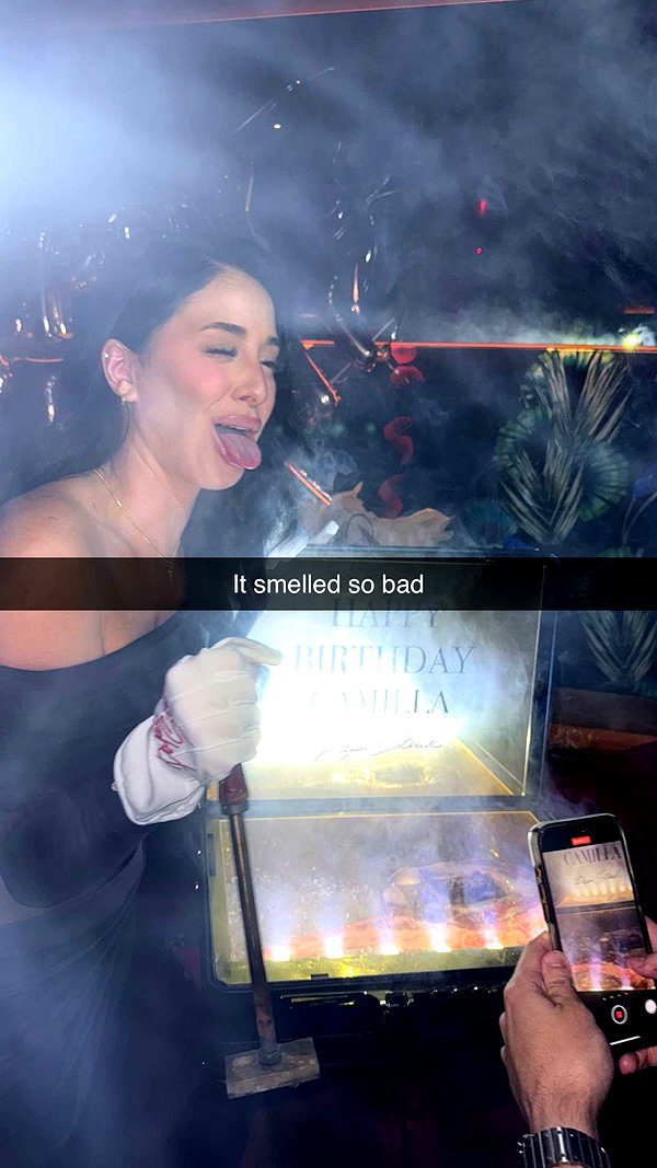 camilla_classy snapchat image archive image
