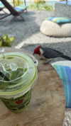 camilla_classy Altpins Profile Picture