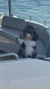 camilla_classy Altpins Profile Picture