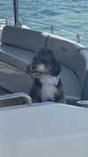 camilla_classy Altpins Profile Picture