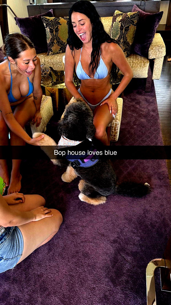 camilla_classy snapchat image archive image