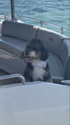 camilla_classy Altpins Profile Picture