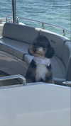 camilla_classy Altpins Profile Picture