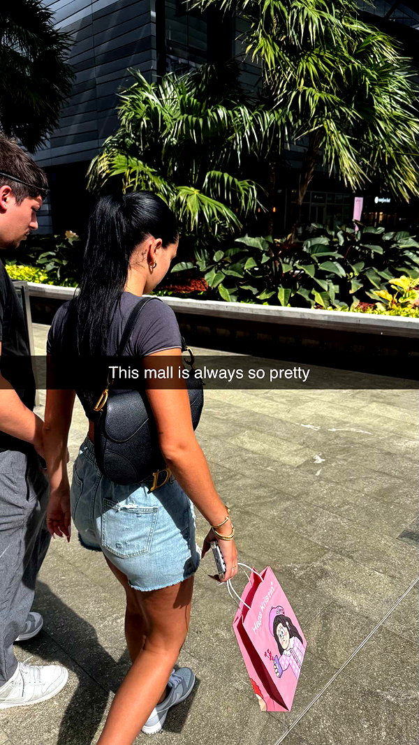 camilla_classy snapchat image archive image
