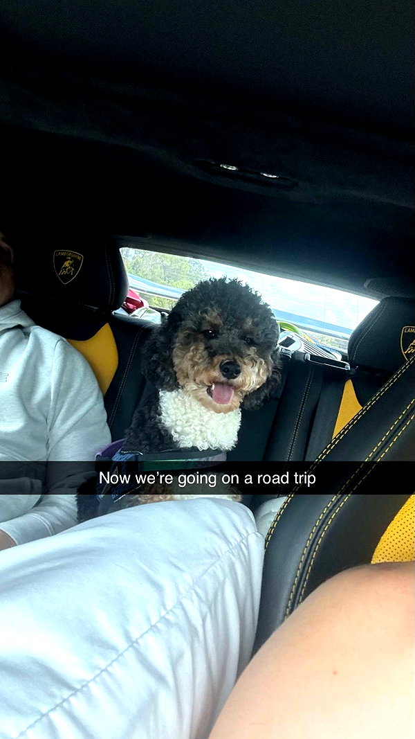 camilla_classy snapchat image archive image