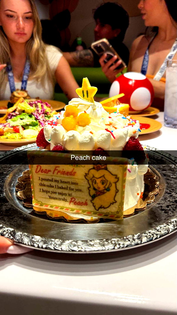 camilla_classy snapchat image archive image