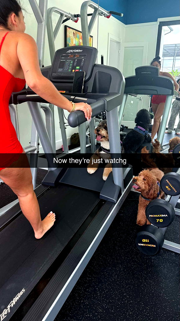 camilla_classy snapchat image archive image