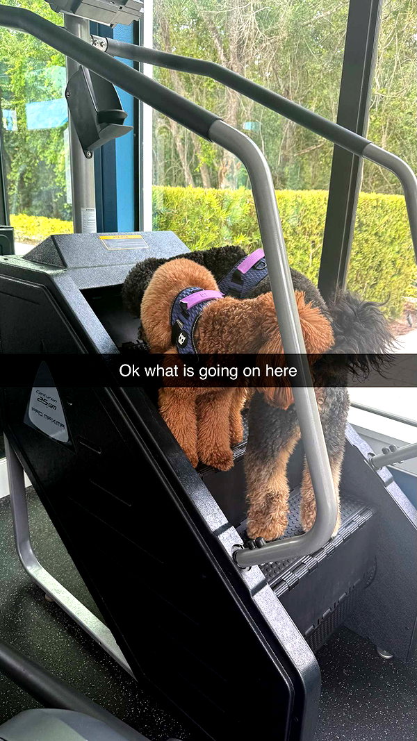 camilla_classy snapchat image archive image