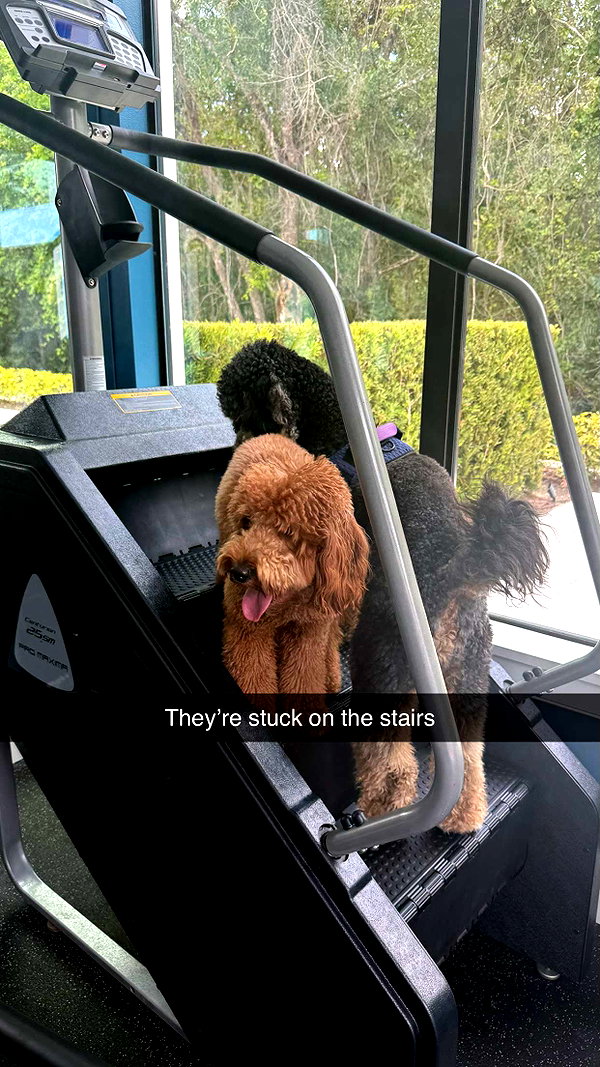 camilla_classy snapchat image archive image