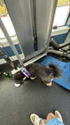 camilla_classy Altpins Profile Picture