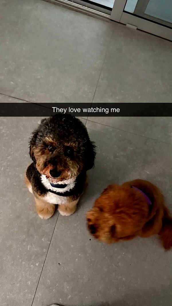 camilla_classy snapchat image archive image