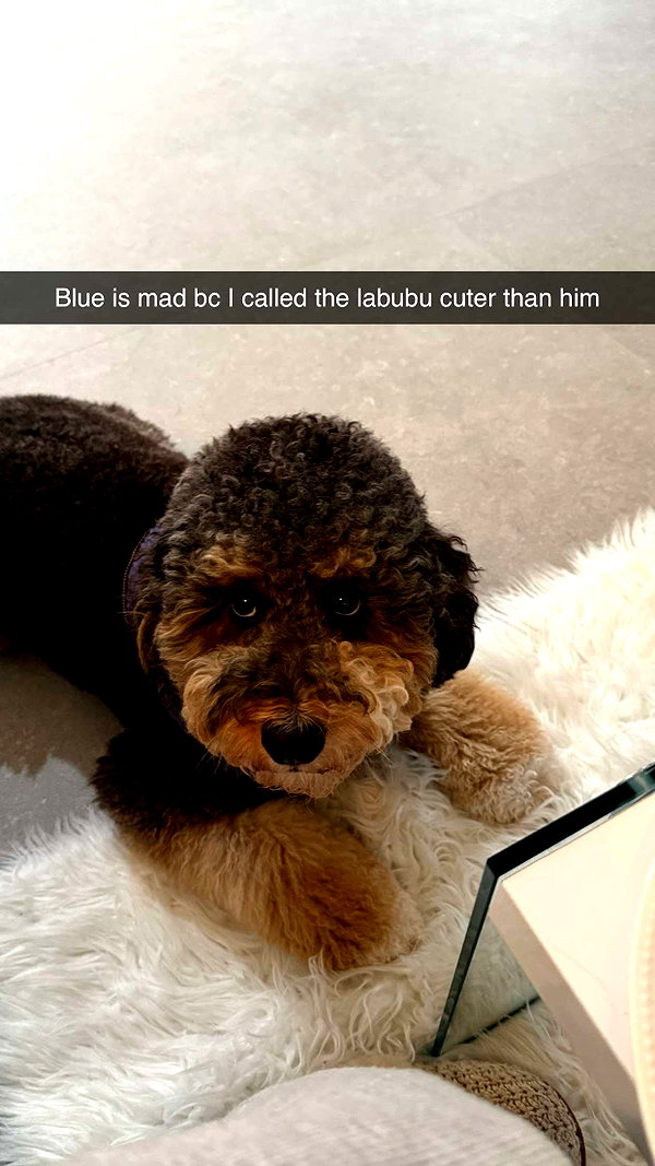 camilla_classy snapchat image archive image