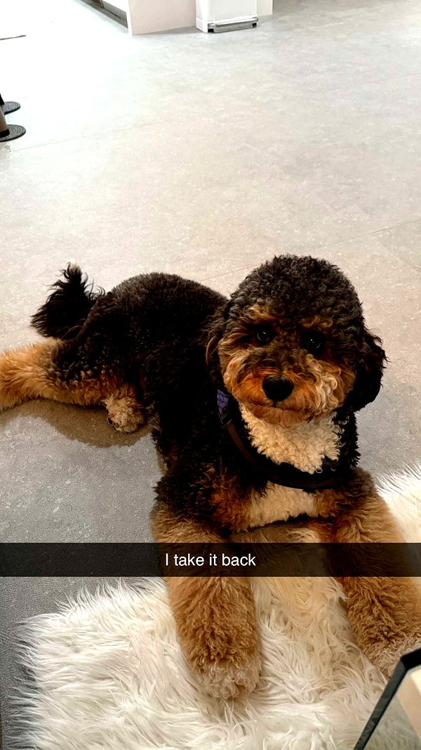 camilla_classy snapchat image archive image