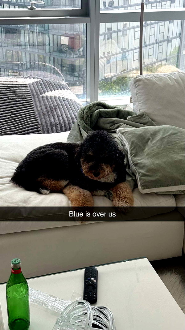 camilla_classy snapchat image archive image