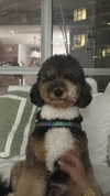 camilla_classy Altpins Profile Picture
