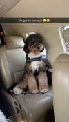 camilla_classy Altpins Profile Picture