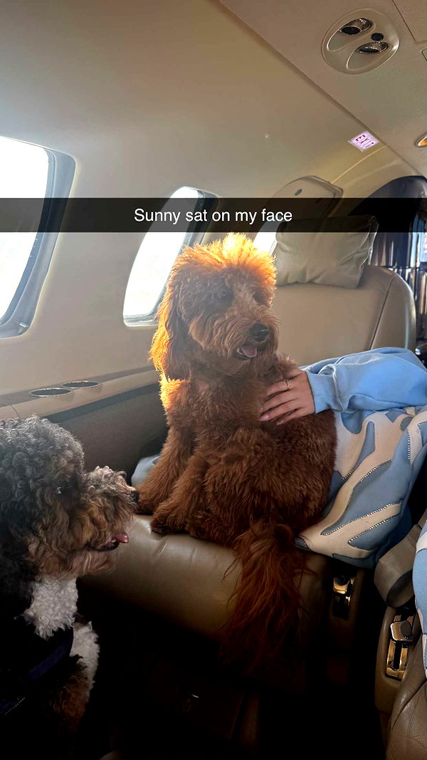 camilla_classy snapchat image archive image