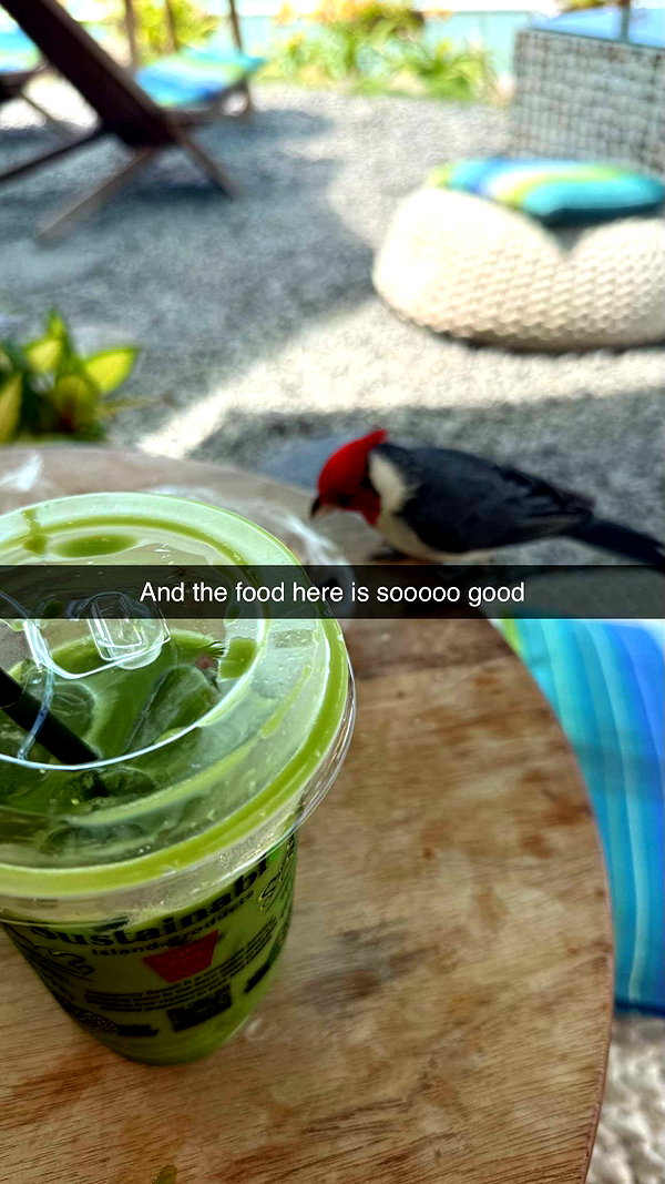 camilla_classy snapchat image archive image