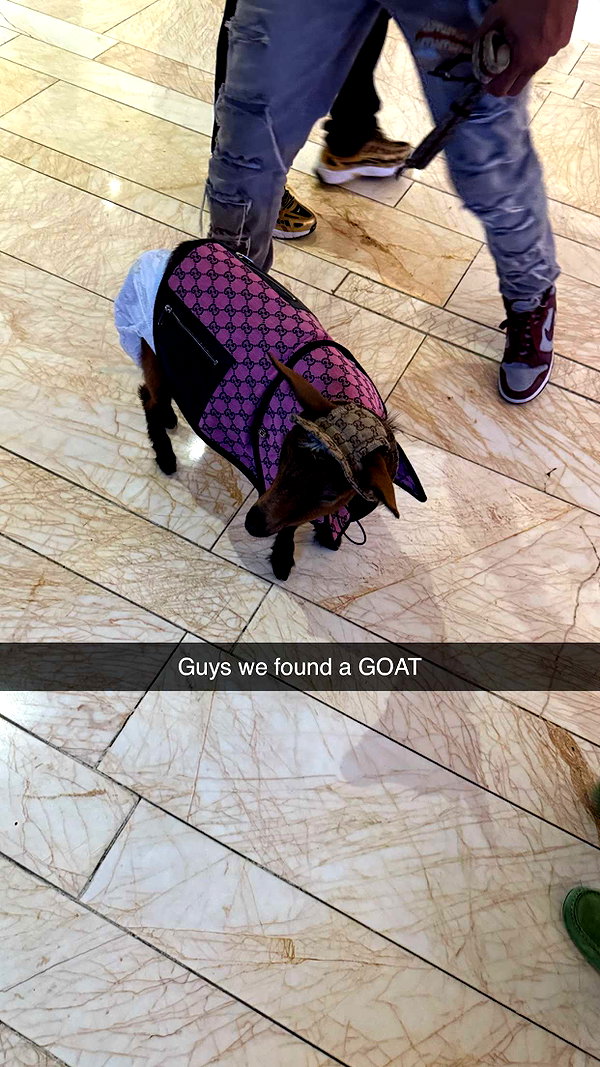 camilla_classy snapchat image archive image