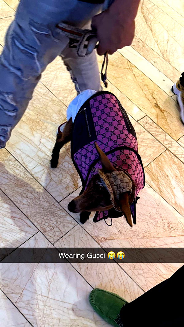 camilla_classy snapchat image archive image