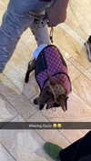 camilla_classy Altpins Profile Picture