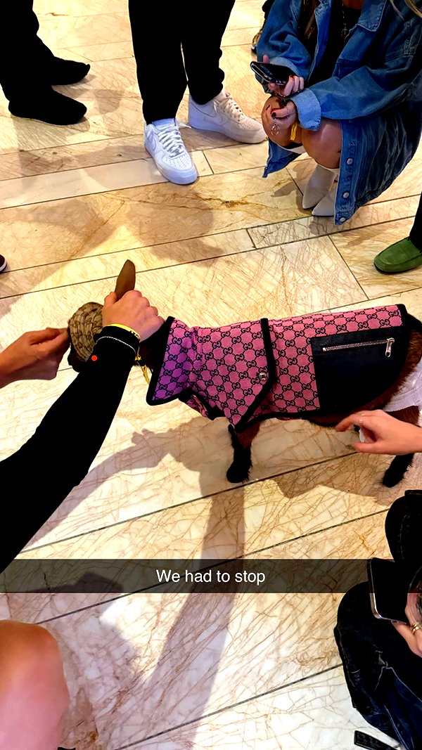 camilla_classy snapchat image archive image