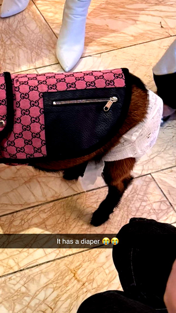 camilla_classy snapchat image archive image