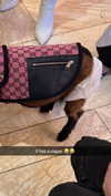 camilla_classy Altpins Profile Picture