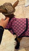 camilla_classy Altpins Profile Picture