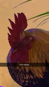 camilla_classy Altpins Profile Picture