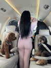 camilla_classy Altpins Profile Picture