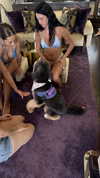 camilla_classy Altpins Profile Picture